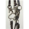 Image 3 : Salesmans Sample Size Bridle