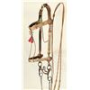 Image 1 : Rawlins Horsehair Bridle