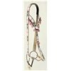 Image 2 : Indian Beaded Bridle