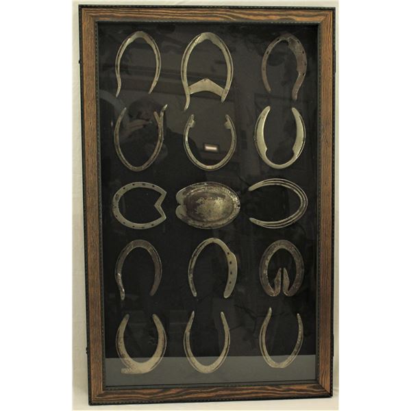Horseshoe Display