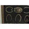 Image 2 : Horseshoe Display