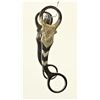 Image 1 : Kelly Bro's Bullhead Bit