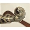 Image 3 : Buerman Silver Spurs