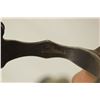 Image 3 : Carl Hall Spurs