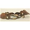 Image 1 : McChesney Spurs