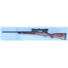 Image 2 : Custom Sporting Rifle