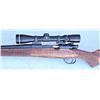 Image 3 : Custom Sporting Rifle