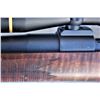 Image 4 : Custom Sporting Rifle
