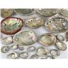 Image 8 : Huge Lot of Abalone Sea Shells