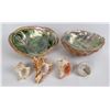 Image 1 : Lot of Abalone and Sea Shells