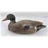 Image 2 : Wingsetter Paper Mache Duck Hunting Decoy