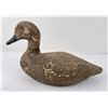 Image 2 : Victor Veri Lite Paper Mache Duck Hunting Decoy