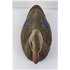 Image 4 : Victor ATC Paper Mache Duck Hunting Decoy