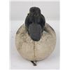 Image 3 : Victor Veri Lite Paper Mache Duck Hunting Decoy