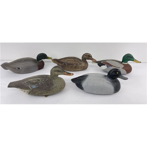 Lot of Plastic Duck Hunting Decoys