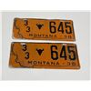 Image 1 : Pair of 1938 Montana License Plates