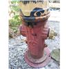 Image 8 : Fire Hydrant C
