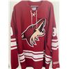 Image 2 : WAYNE GRETZKY SIGNED CCM PHOENIX COYOTES JERSEY PSA LOA