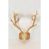 Image 1 : Fallow Deer Skull Mount