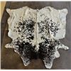 Image 1 : Texas Longhorn Hide Rug