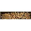 Image 1 : 3000 Rounds of CCI .22 Ammunition