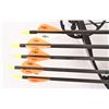 Image 2 : Diamond Archery Infinite Edge Pro Compound Bow