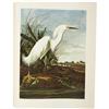 Image 3 : John James Audubon. The Original Water-Color