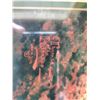 Image 3 : BEAUTIFUL "VICTORIAN AUTUMN" BY THOMAS KINKADE, FRAMED, SIGNED AND NUMBERED