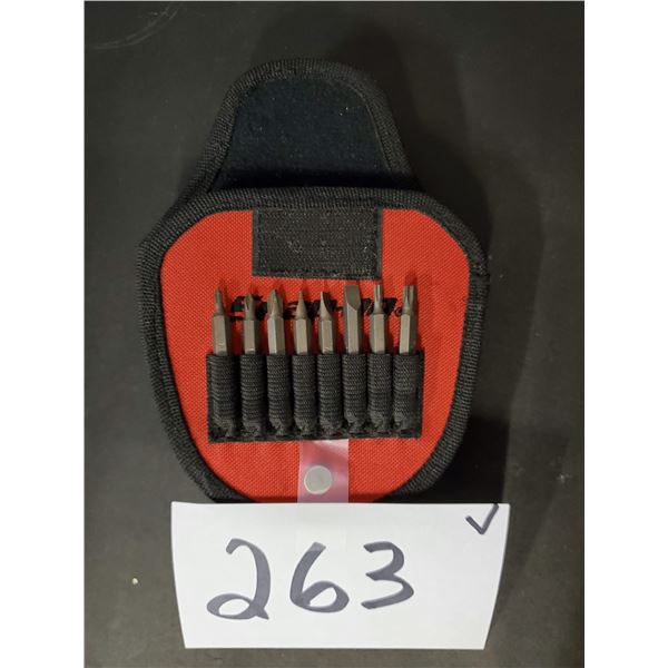 SnapOn belt holder with screw and torx bits