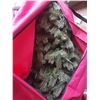 Image 2 : Christmas Tree & Bag