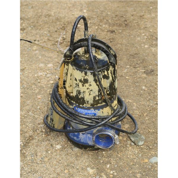 Submersible Pump