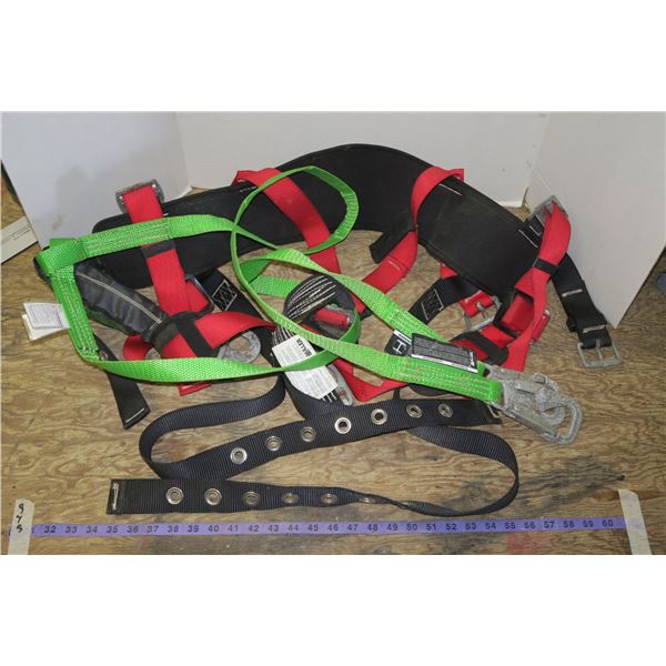 Protecta Harness