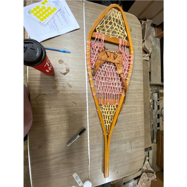 1 Snow Shoe