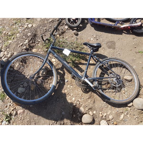 Mountain Bike (As Is)