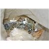 Image 2 : Lot of Nails/Fasteners