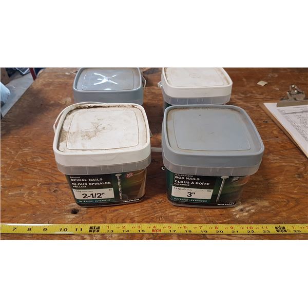 Lot 2 1/2" & 3" Nails