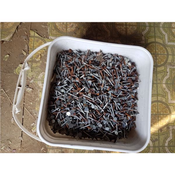 Pail of Nails