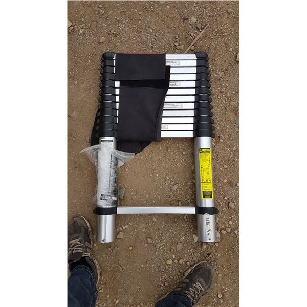 Telestep Ladder