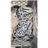 Image 3 : Lot Chain / Tow Rope