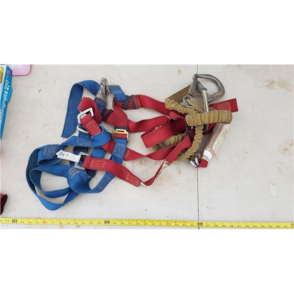 Fall Arrest Harness