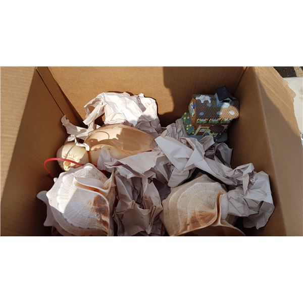 Lot Sea Shell Lamps & Home Décor Items