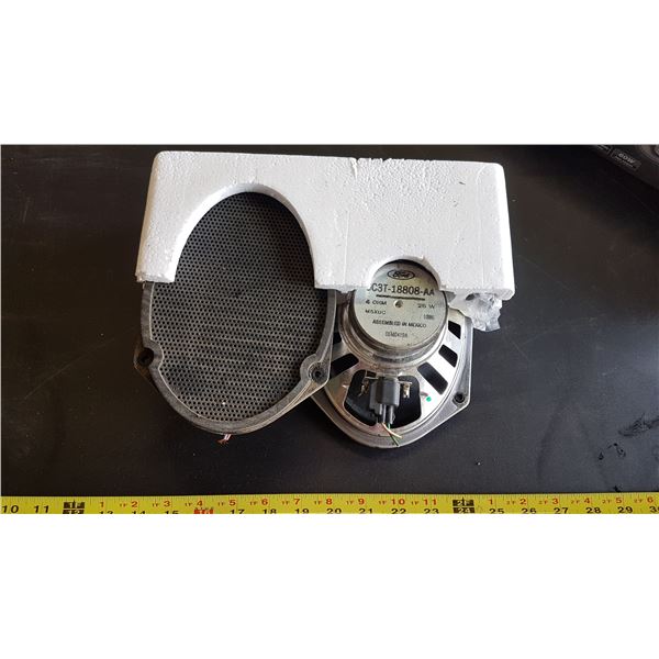 2 Ford Speakers