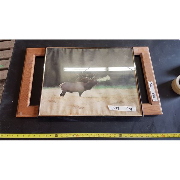 Frame & Moose Wall - Hanging