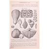 Image 14 : Antique School Books c. 19th Century Collection