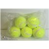 Image 1 : 5 PACK OF LARGE TENNIS BALLS FOR DOGS