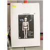 Image 1 : 60" LIGHT UP SKELETON DECOR IN BOX