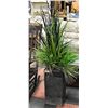 Image 1 : SHOWHOME DECOR ARTIFICIAL PLANT WITH POT