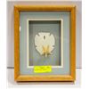 SEA SHELLS ART IN FRAME