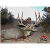 Image 1 : Nevada 231 Mule deer voucher