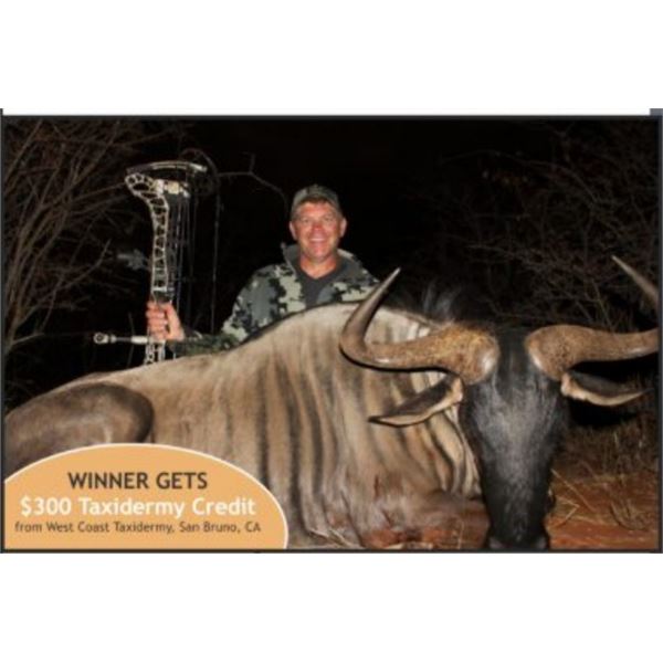 South African Bow Hunt